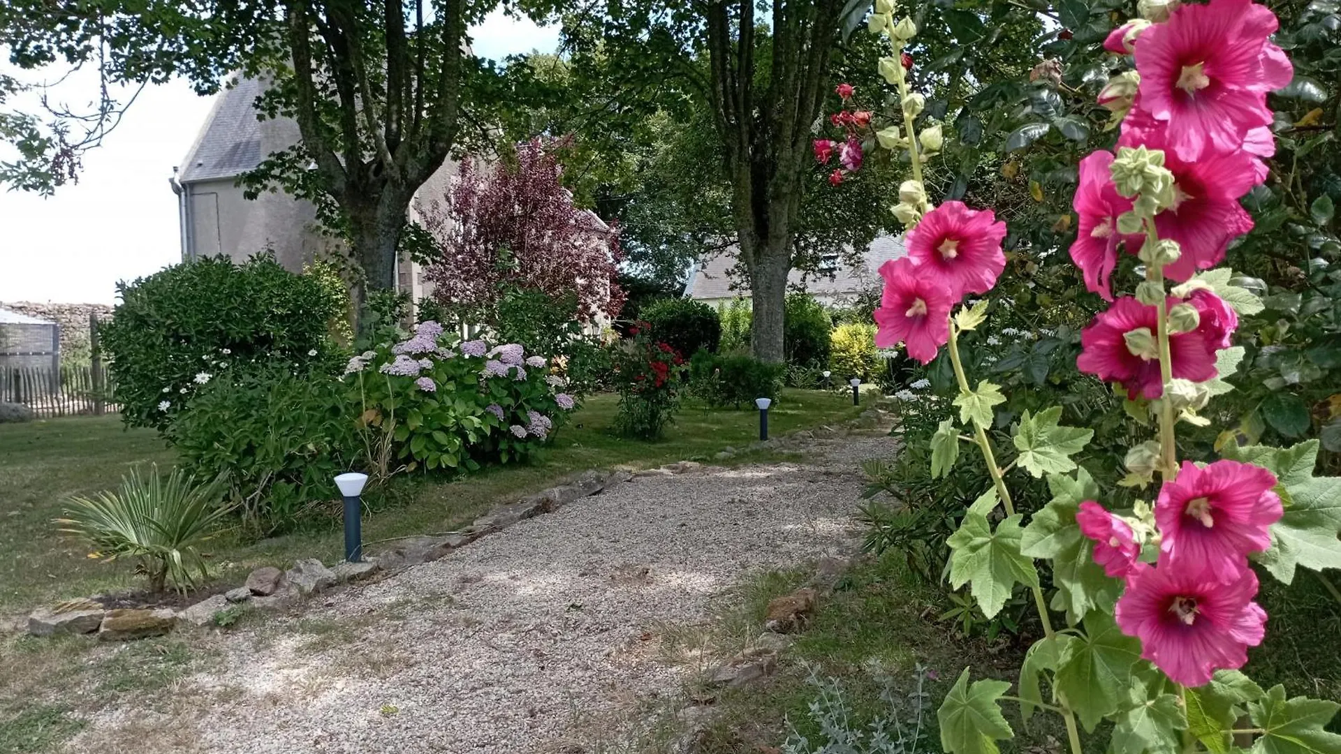 Tatil Evi Magnifique Maison Pour 8 Avec Jardin Guissény